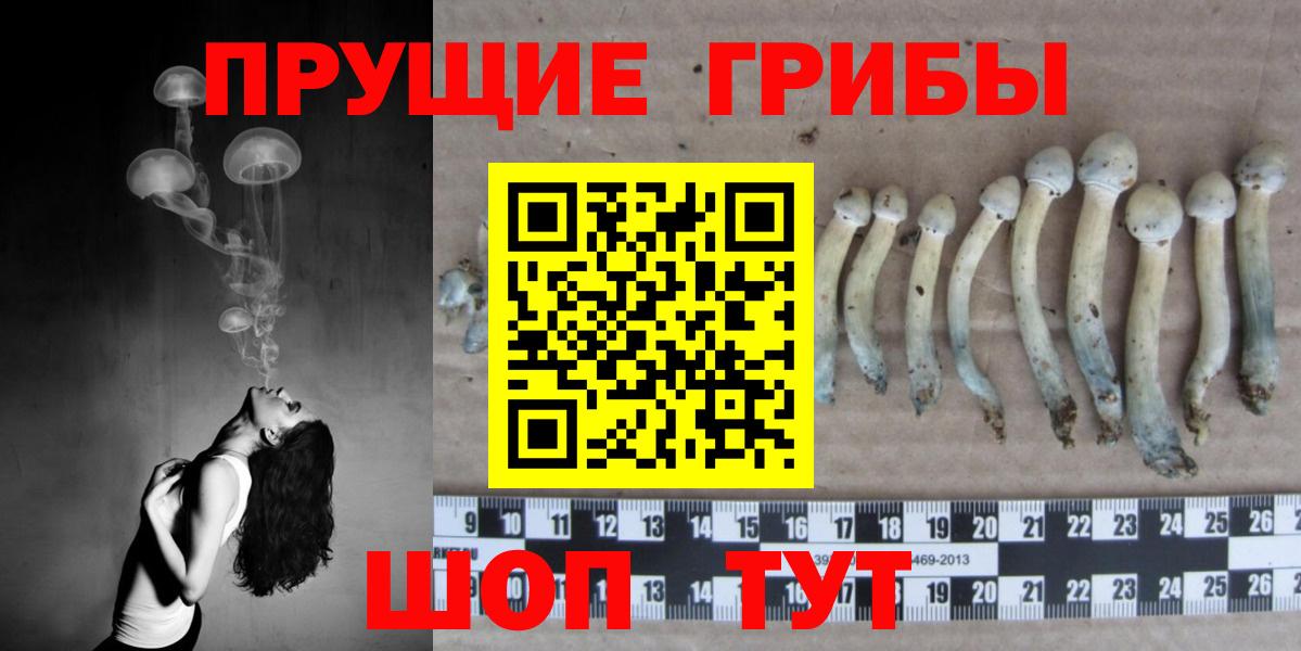 Горячий Ключ  Псилоцибиновые грибы MAGIC MUSHROOMS  Псилоцибиновые грибы GOLDEN TEACHER  Вход с VPN 