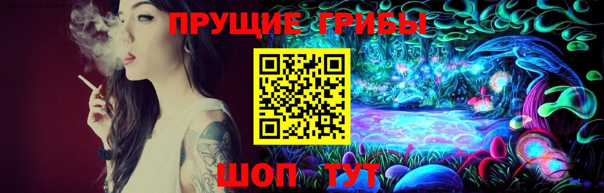 Галлюциногенные грибы Psilocybe Горячий Ключ